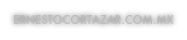ERNESTOCORTAZAR.COM.MX